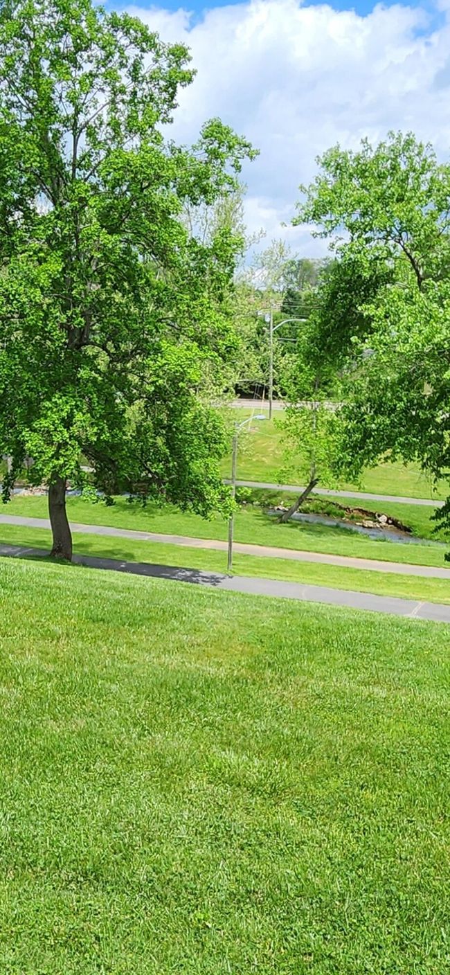 412 Alexander Ave, Condo with 3 bedrooms, 3 bathrooms and null parking in Church Hill TN | Image 16
