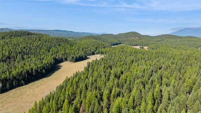 3217 Loon Lake Rd, Home with 0 bedrooms, 0 bathrooms and null parking in Trego MT | Image 16