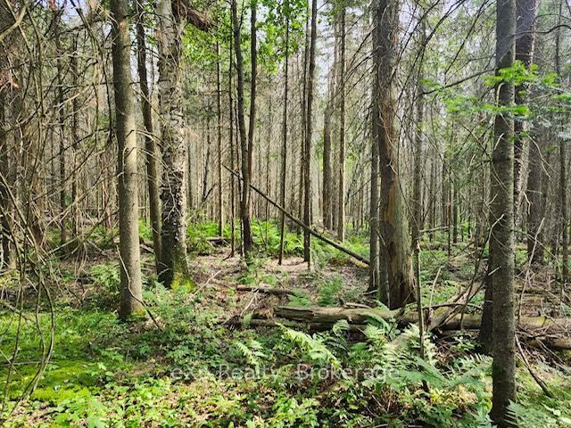Residential in Parry Sound Remote Area 3