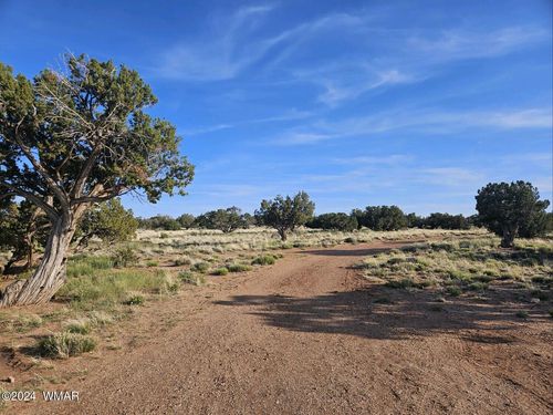 110 County Rd, Concho, AZ, 85924 | Card Image