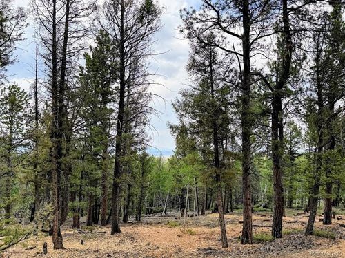 1789 Bellows Rd, Hartsel, CO, 80449-8565 | Card Image