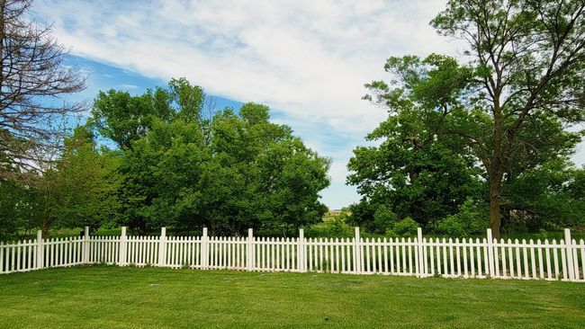 20250523_160647.jpg | Image 25