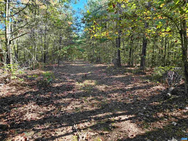 10239 Howardsville Rd, House other with 2 bedrooms, 1 bathrooms and null parking in HOWARDSVILLE VA | Image 44