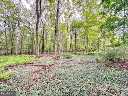 0 Pine Dr, Lehighton, PA, 18235 | Card Image