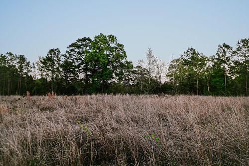 4007 Fm 834 Rd W, Liberty, TX, 77575 | Card Image