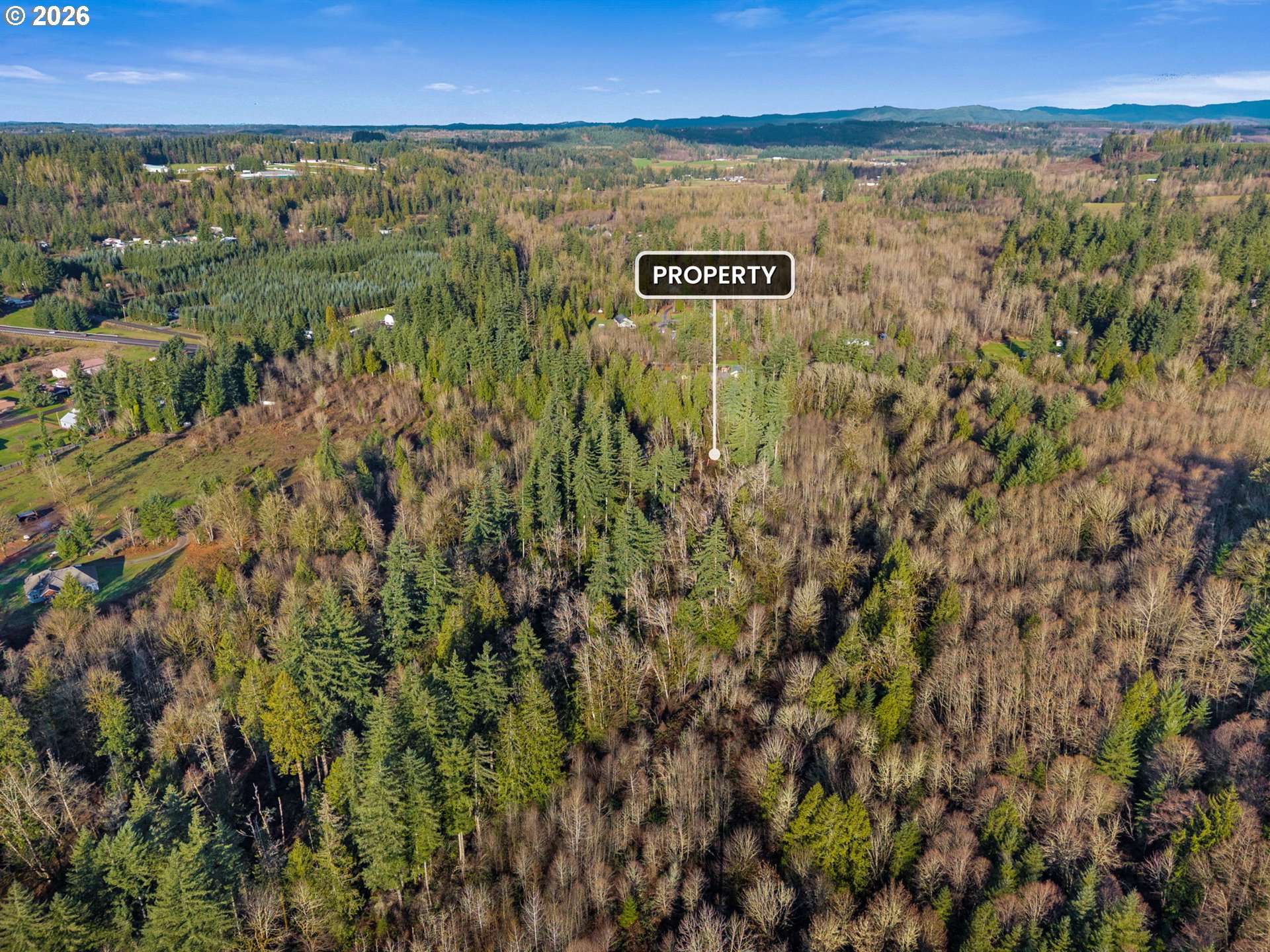 Land in Mossyrock 5