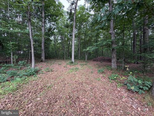 lot-8-Lot 8 2AC Grizzly Rd, MATHIAS, WV, 26812 | Card Image
