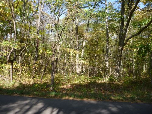 VL Ab Ave, Otsego, MI, 49078 | Card Image