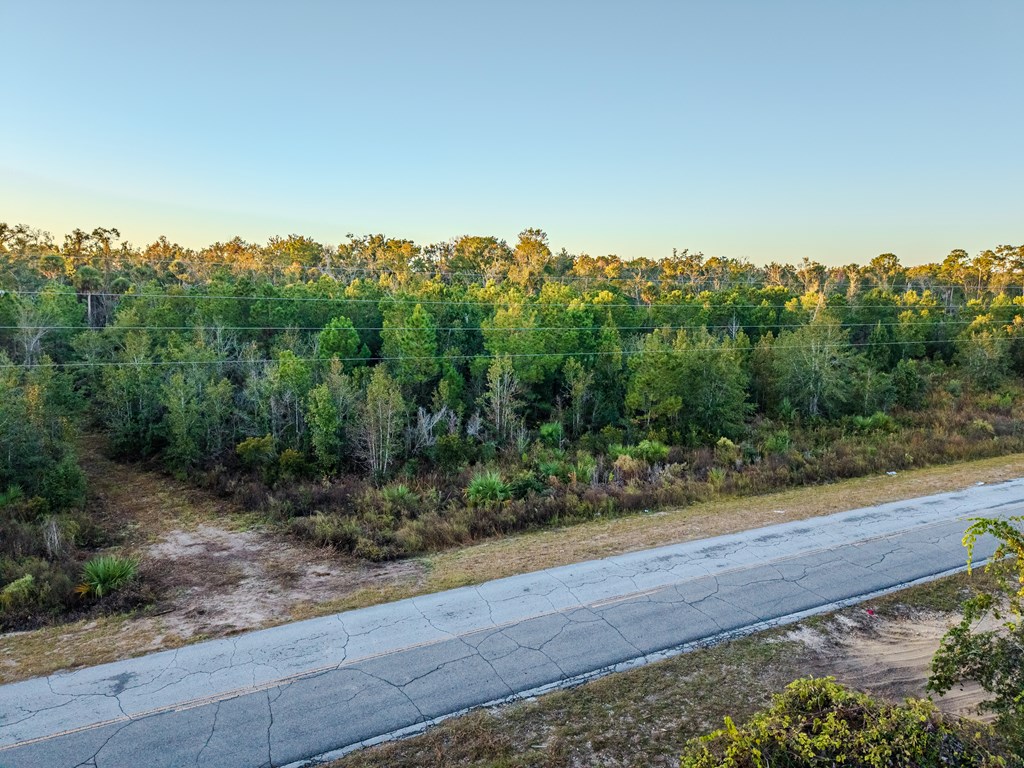 Land in Steinhatchee 4