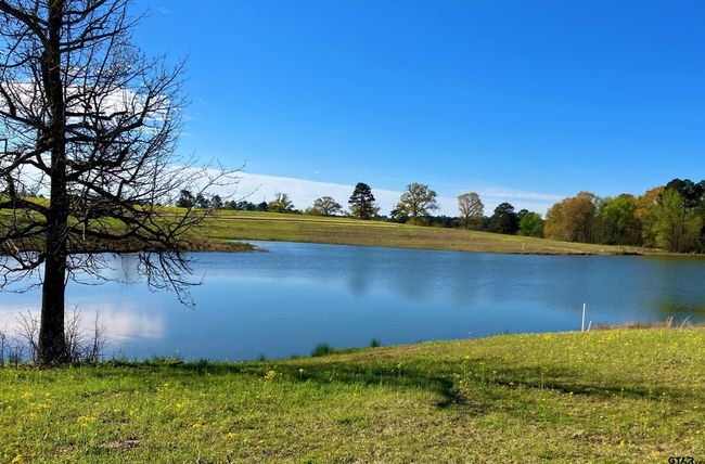 Lot 49 White Oak Creek Ranch, Home with 0 bedrooms, 0 bathrooms and null parking in Big Sandy TX | Image 9