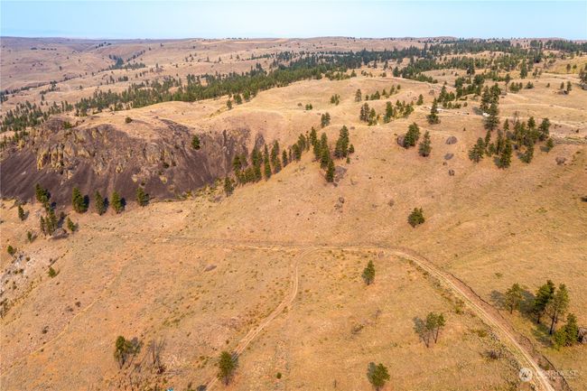 100 Pine Bluffs Ln, Home with 0 bedrooms, 0 bathrooms and null parking in Waterville WA | Image 6