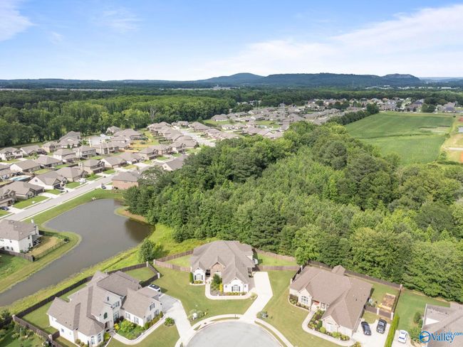 155 Holbrook Dr, House other with 4 bedrooms, 4 bathrooms and null parking in Huntsville AL | Image 49