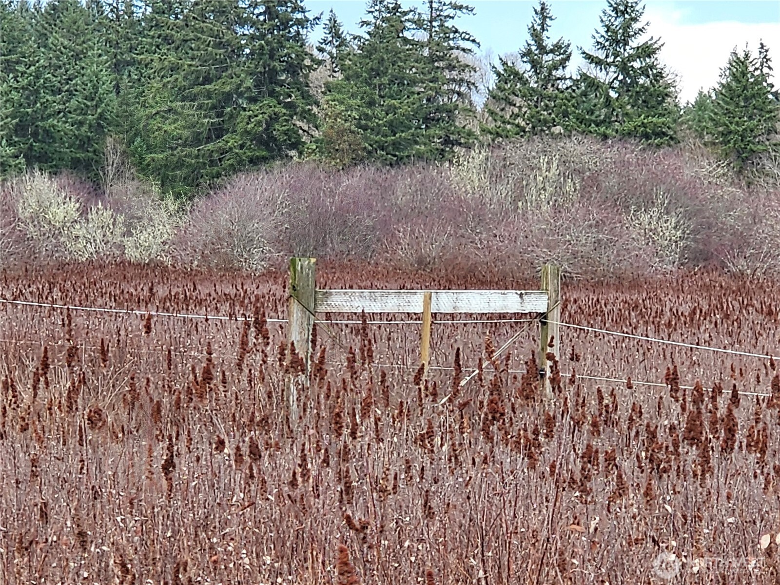 Land in Lakebay 5