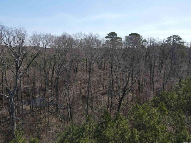 00 Nevada County 175 Road, Home with 0 bedrooms, 0 bathrooms and null parking in Rosston AR | Image 32