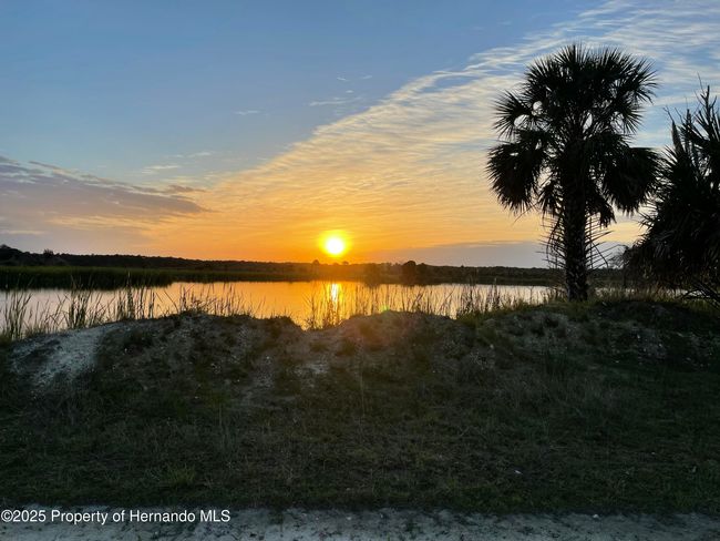 And Sunrise Watching | Image 11