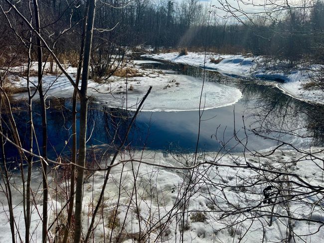 Balsam creek on acreage | Image 6