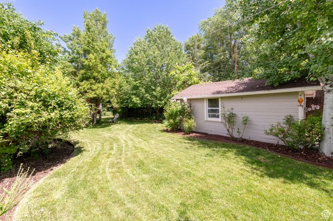 View of grassy yard | Image 26