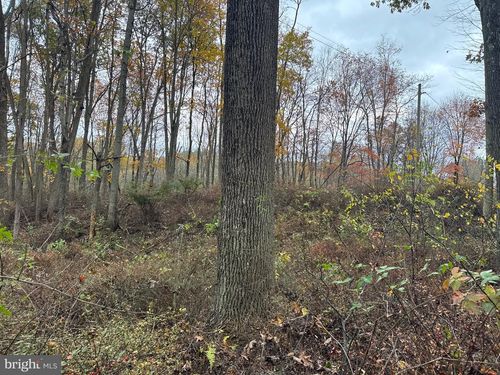 TRACT 4: 13.5± ACRES Coles Valley Rd, ROBERTSDALE, PA, 16674 | Card Image