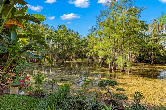 14806 Sterling Oaks Dr, House other with 2 bedrooms, 2 bathrooms and 1 parking in NAPLES FL | Image 25
