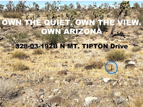 328-03-192B N Mt. Tipton Drive, Dolan Springs, AZ, 86441 | Card Image