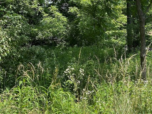 TBD College Estates Rd, Cedar Bluff, VA, 24609 | Card Image