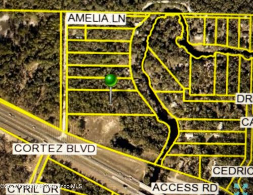 0 Amelia Ln, Dade City, FL, 33523 | Card Image