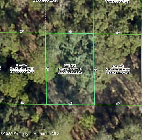 0 Rock Duck Ave, Brooksville, FL, 34614 | Card Image