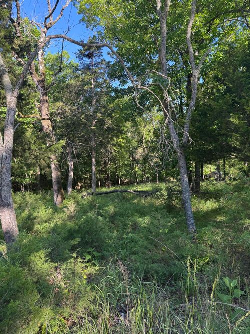 Lot 85 Cliff Drive, Golden, MO, 65658 | Card Image