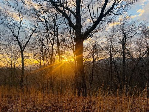 00 Aster Trl, Marble, NC, 28905 | Card Image