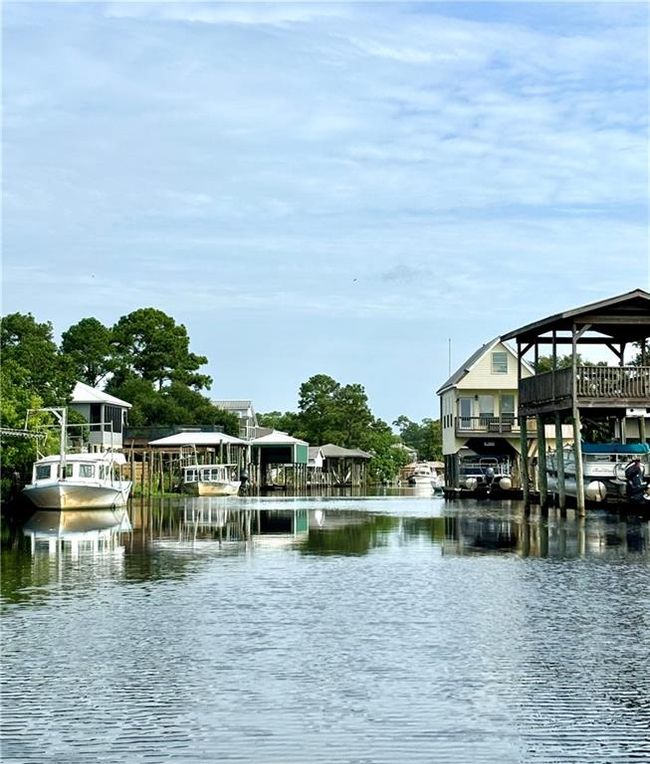 Canal off Bayou Lacombe | Image 5