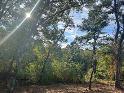 LOT 11 Kent Rock Road, Home with 0 bedrooms, 0 bathrooms and null parking in Loganville GA | Image 2