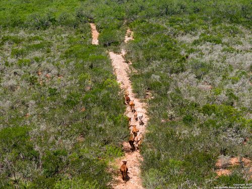 4700 Fm-3196, San Diego, TX, 78384 | Card Image