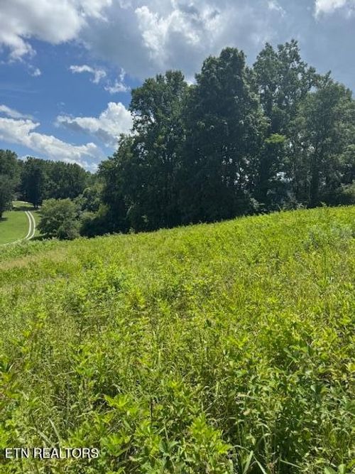 0 Oak Grove Rd, Rocky Top, TN, 37769 | Card Image