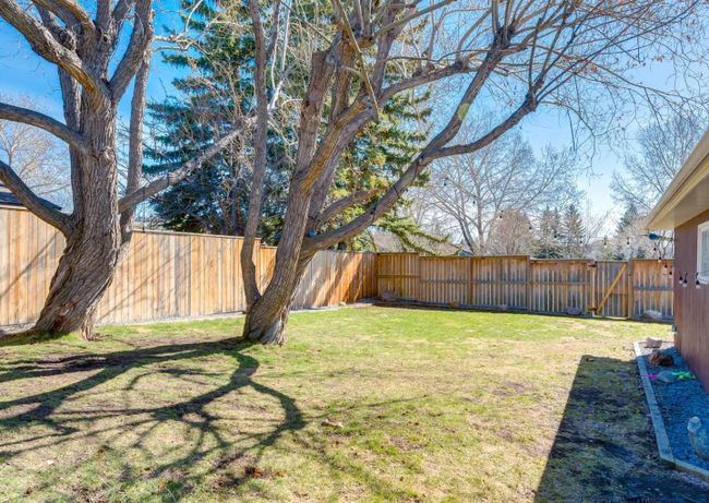 203 Dalhurst Way Nw, Home with 4 bedrooms, 1 bathrooms and 5 parking in Calgary AB | Image 6