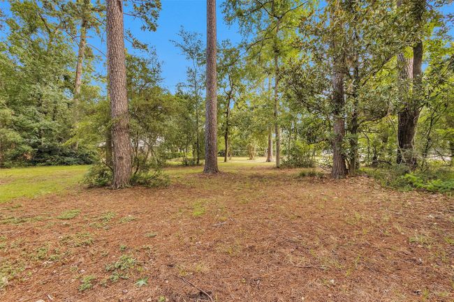 29526 W Hawthorne Dr, Home with 0 bedrooms, 0 bathrooms and null parking in Spring TX | Image 11