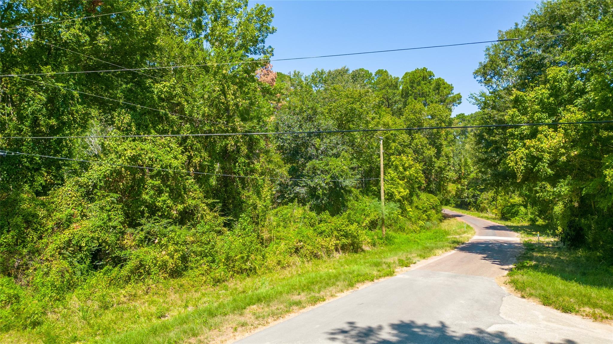 Land in Conroe 5