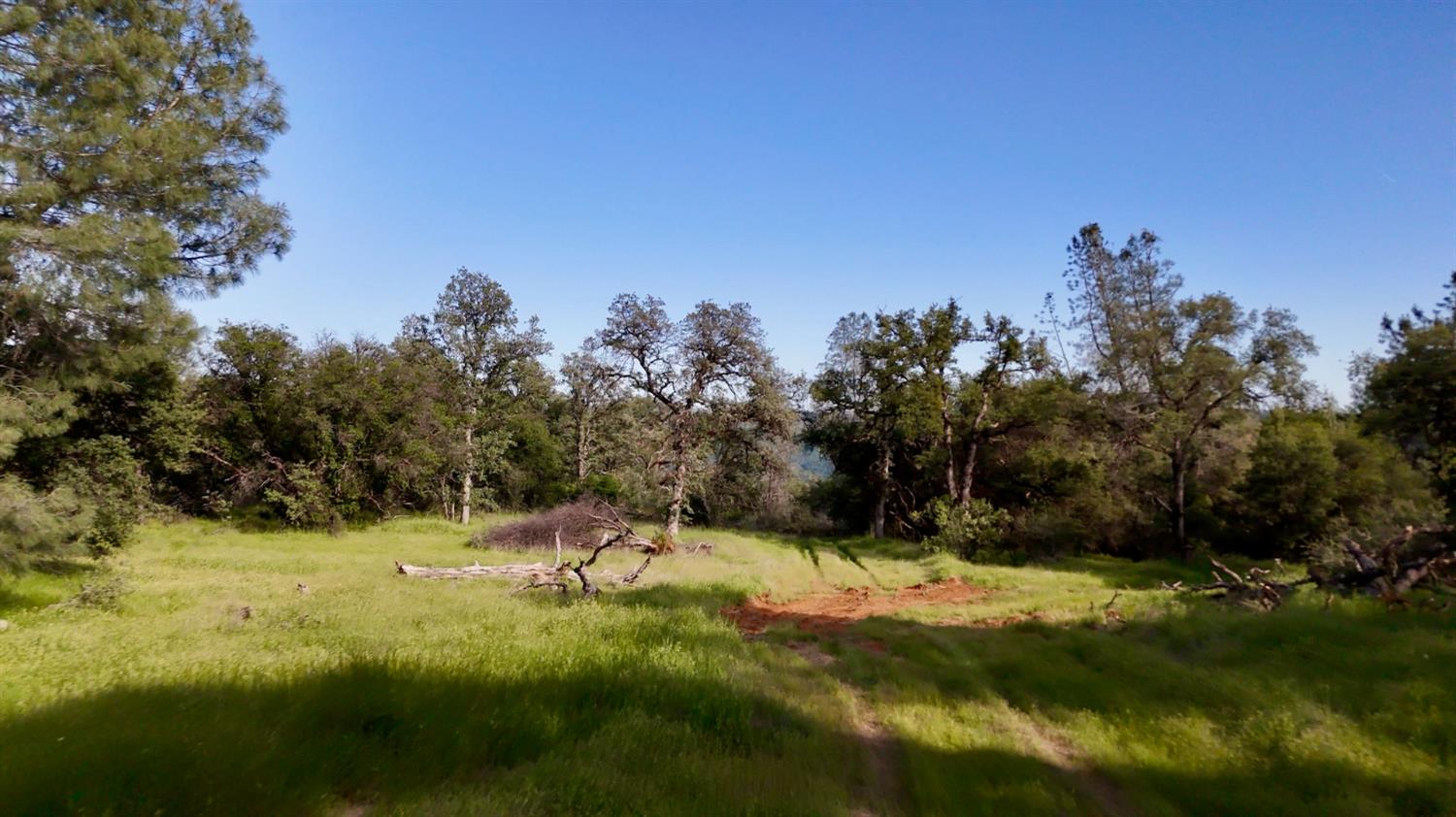 Land in North San Juan 4