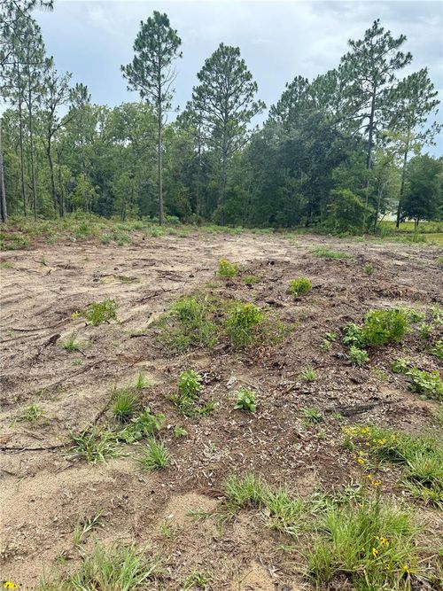 TBD Ne 151st Ter, Williston, FL, 32696 | Card Image