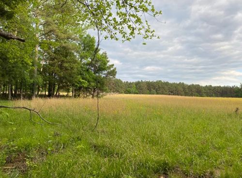 330 Lick Creek Rd, Michie, TN, 38357 | Card Image