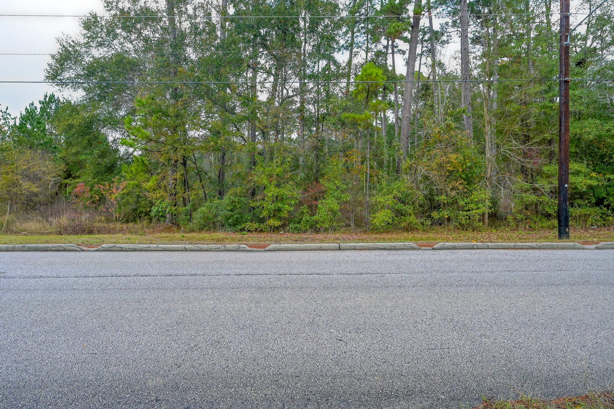 Land in Conroe 3