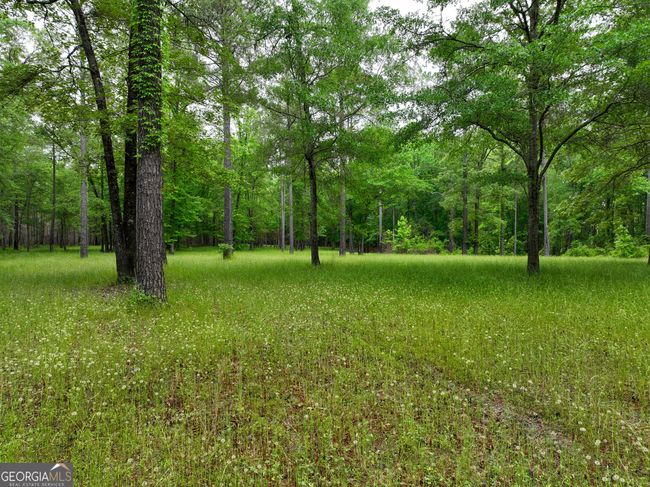 6620 Jr Sims Rd, Home with 0 bedrooms, 0 bathrooms and null parking in Irwinton GA | Image 10