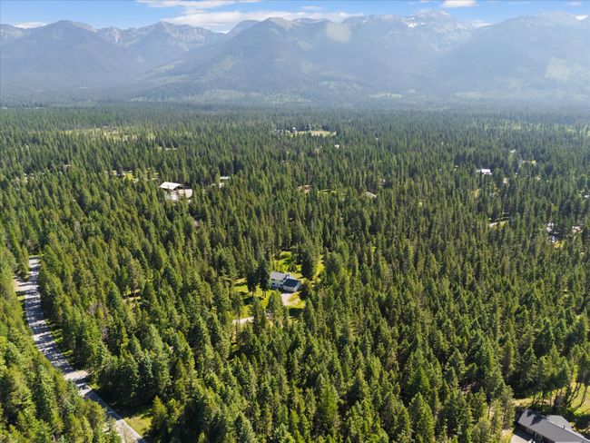 Bird's eye view of a heavily wooded area and a mountainous background | Image 56