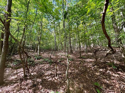 0 Yonah View Dr, Cleveland, GA, 30528 | Card Image