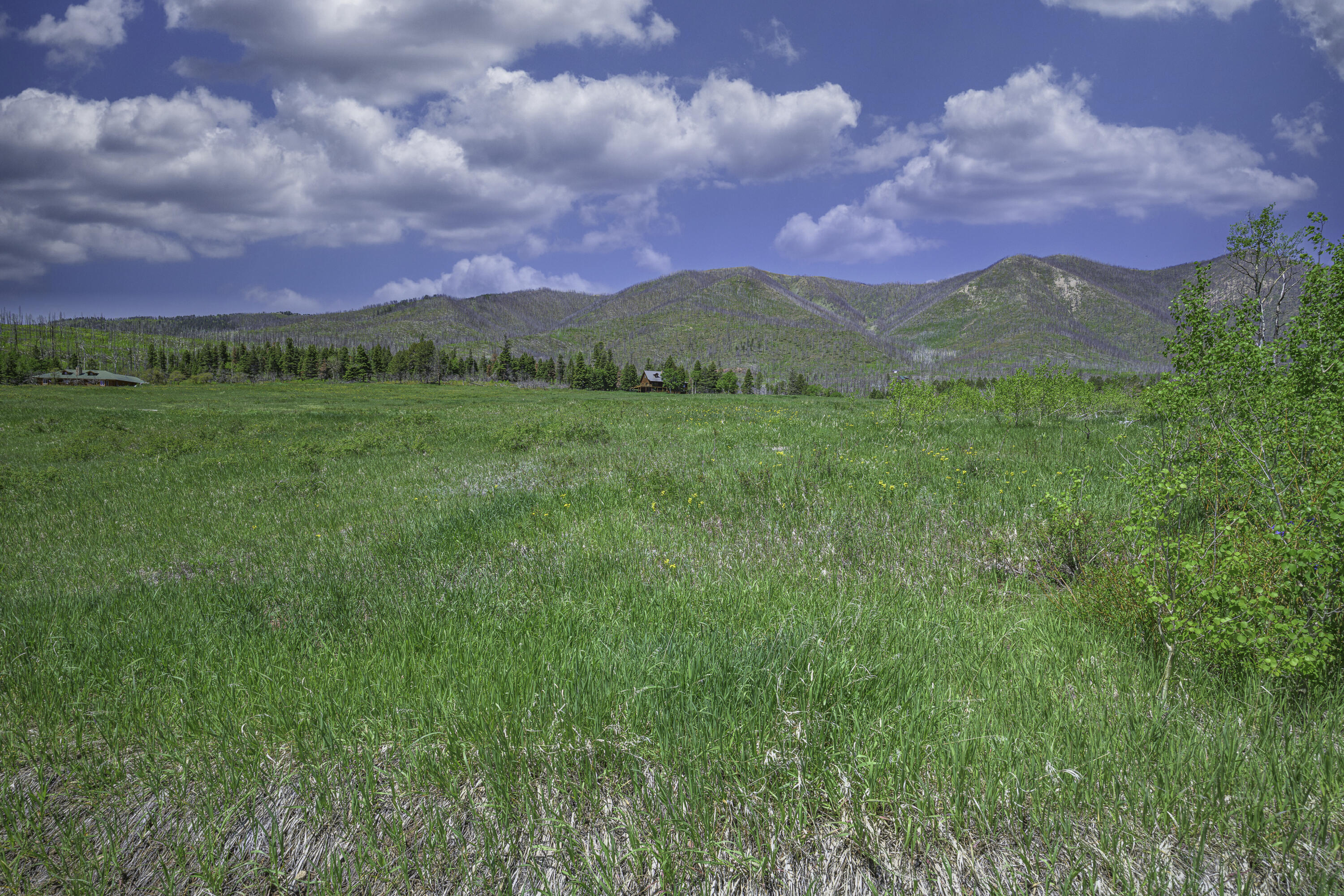 Land in La Veta