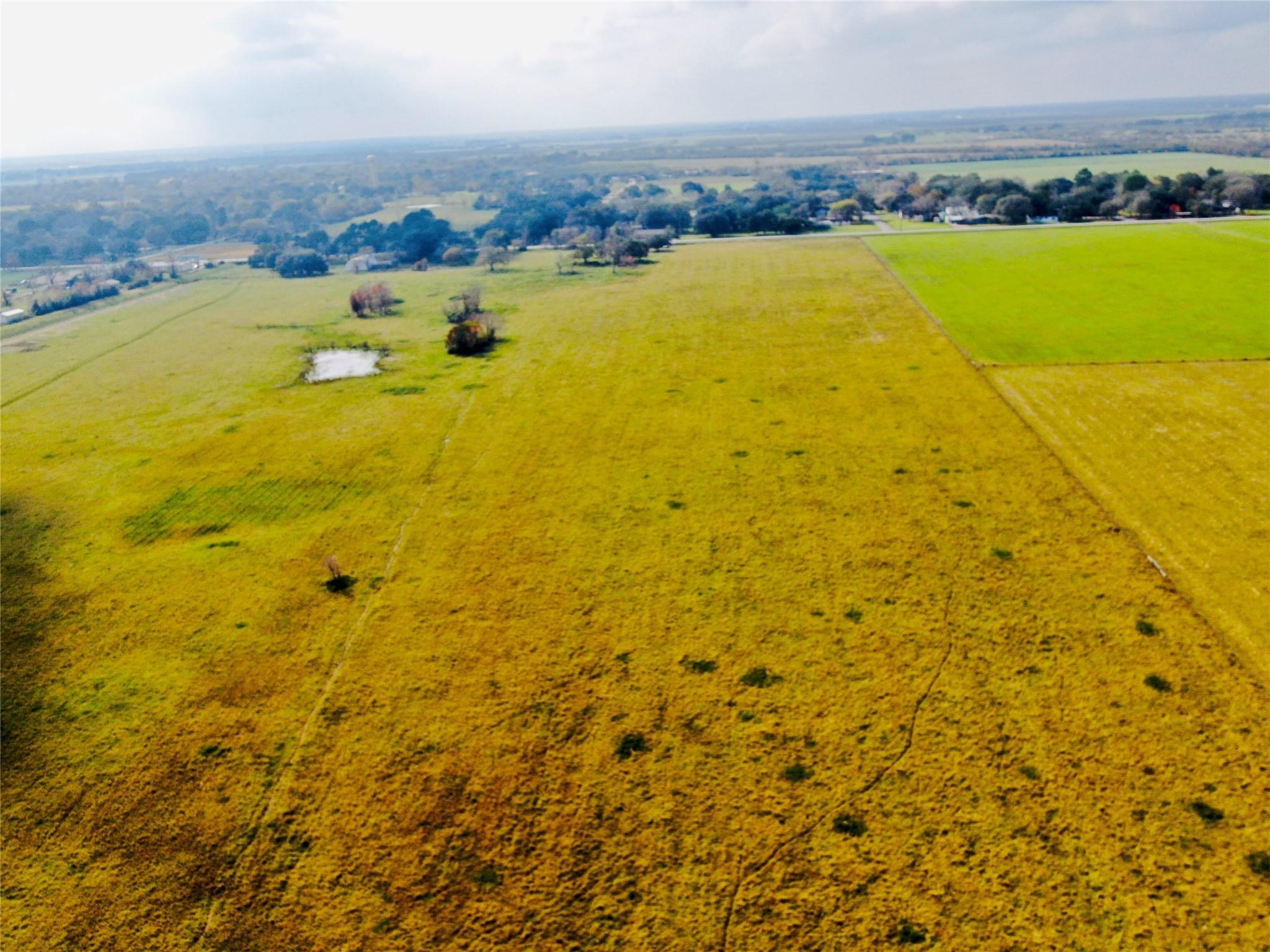 Farm in Needville 4