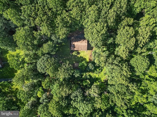 181 High Knob Ct, House other with 3 bedrooms, 3 bathrooms and null parking in FRONT ROYAL VA | Image 49