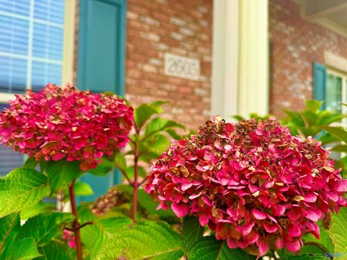 2605 Brompton Ln Sw, Decatur, AL, 35603-2937 | Card Image