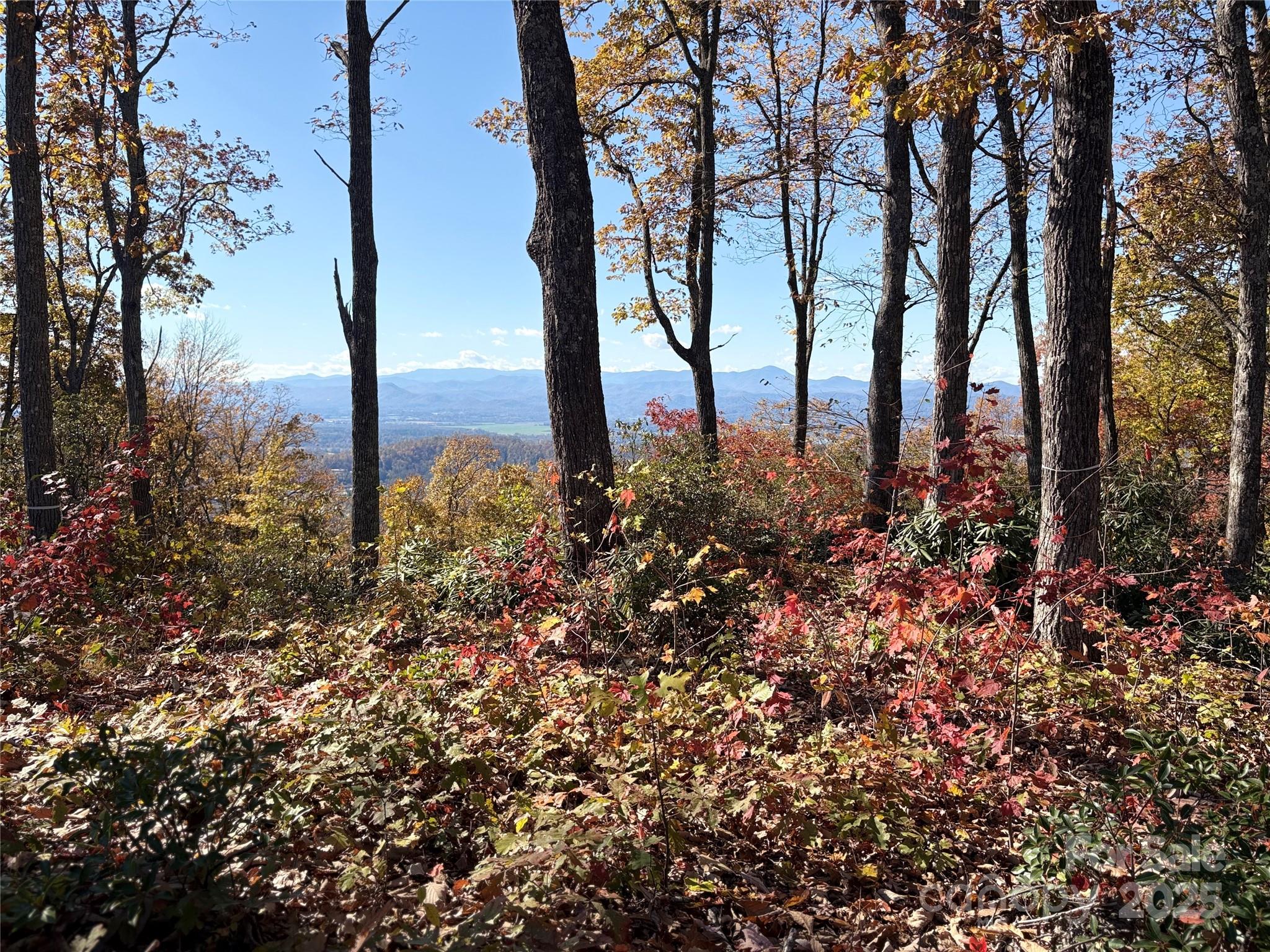 Land in Fletcher