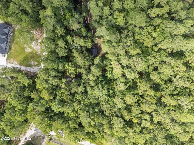 Aerial | Image 13