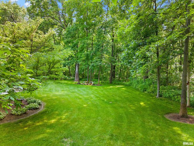 11518 N Nettle Creek Dr, House other with 4 bedrooms, 6 bathrooms and null parking in Dunlap IL | Image 53